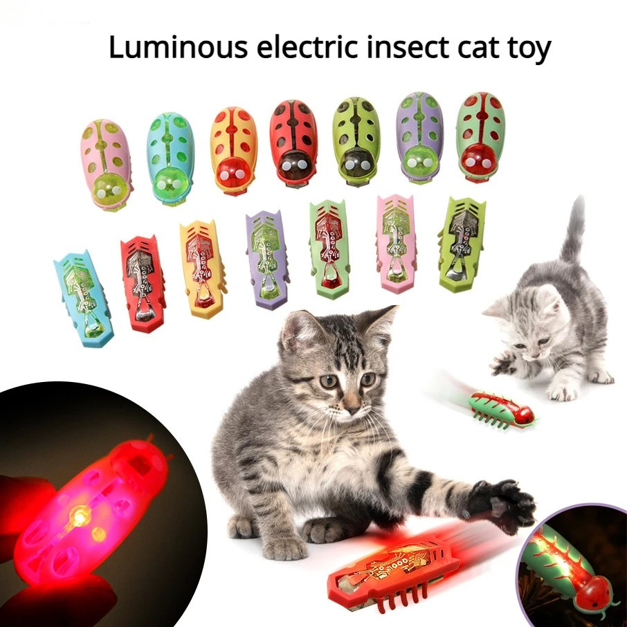 Power Tools Cat - 고양이 장난감 라이트업 전동 벌레 애완동물