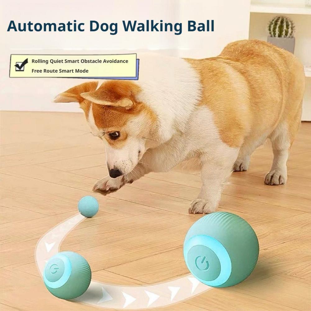 전동 고양이 공 장난감 자동 롤링 스마트 고양이 장난감 - Power Tools Cat 리뷰 및 가격
