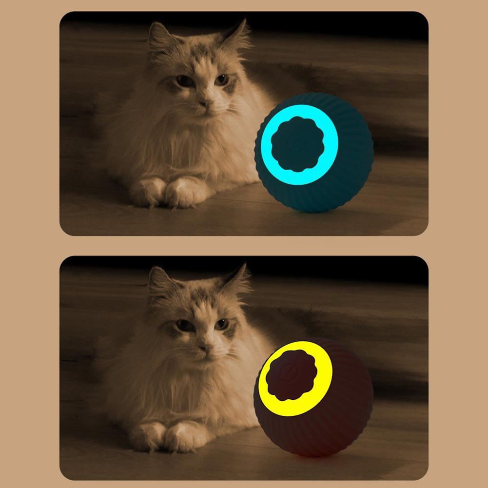 전동 고양이 공 장난감 자동 롤링 스마트 고양이 장난감 - Power Tools Cat 리뷰 및 가격