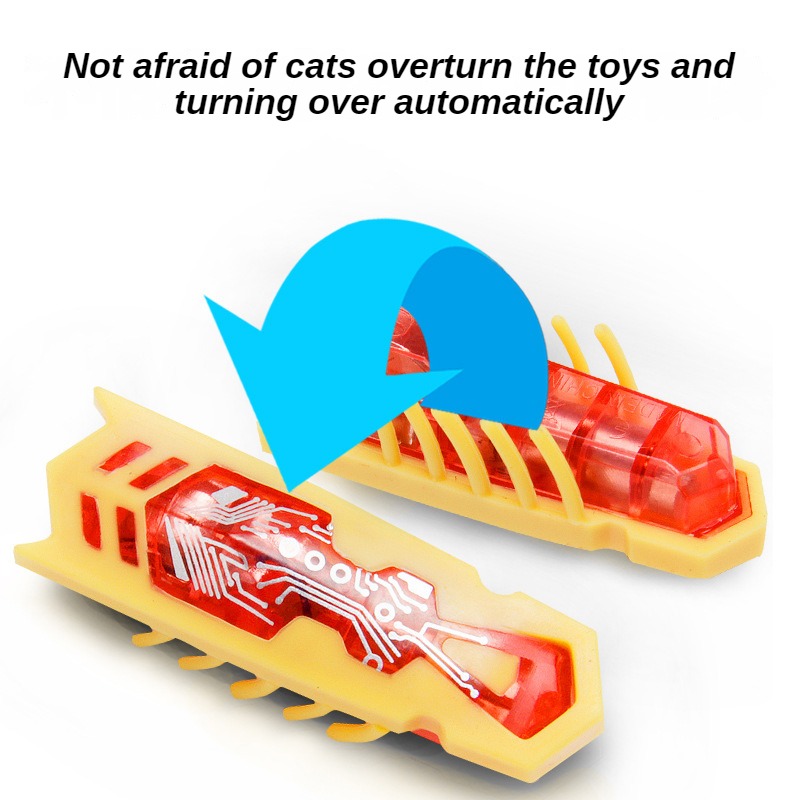재미 있은 전기 버그 Catnip 장난감 자동 터널 미 - Power Tools Cat 리뷰 및 가격