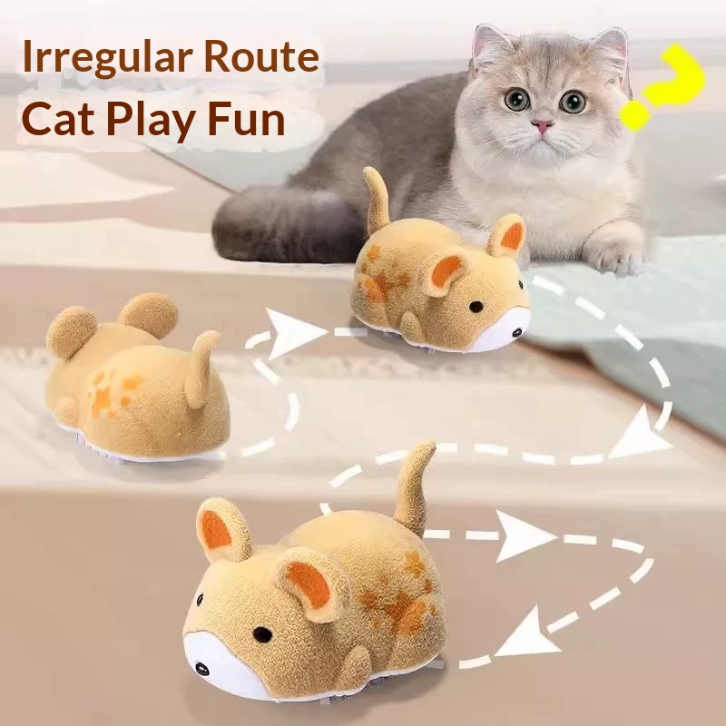 고양이 장난감 전동 햄스터 애완동물 장난감 고양이 자가 - Power Tools Cat 리뷰 및 가격