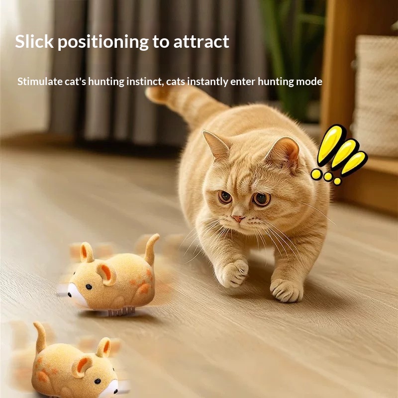 고양이 장난감 전동 햄스터 애완동물 장난감 고양이 자가 - Power Tools Cat 리뷰 및 가격