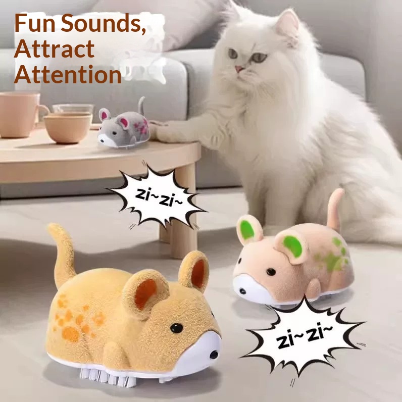 고양이 장난감 전동 햄스터 애완동물 장난감 고양이 자가 - Power Tools Cat 리뷰 및 가격