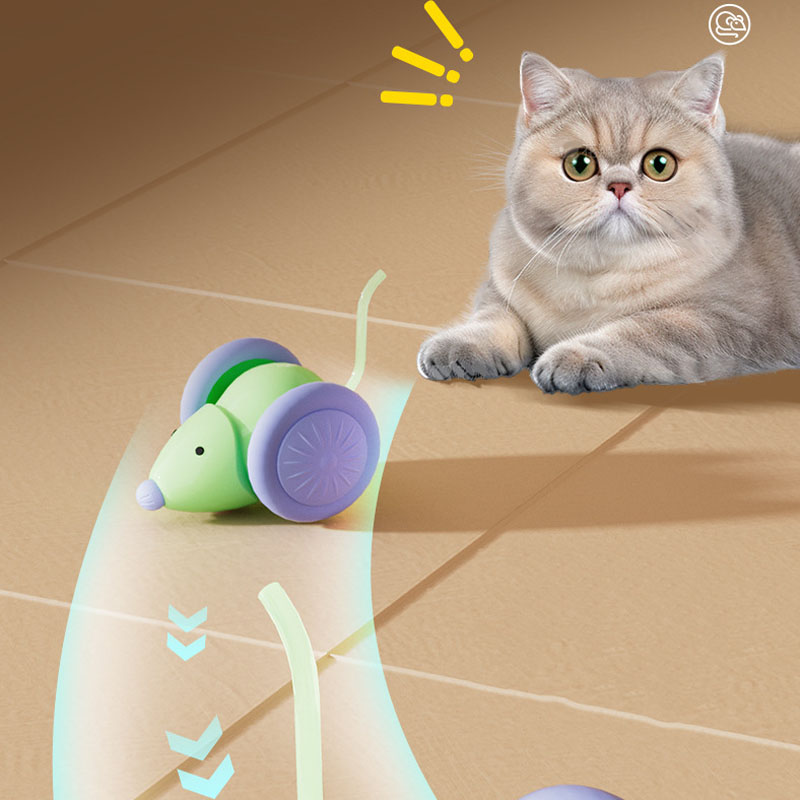 전기 쥐 자동차 인터랙티브 고양이 장난감 충전식 자동  - Power Tools Cat 리뷰 및 가격