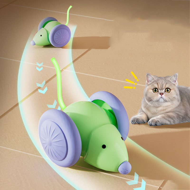전기 쥐 자동차 인터랙티브 고양이 장난감 충전식 자동  - Power Tools Cat 리뷰 및 가격