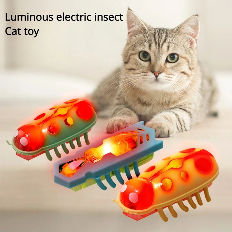 고양이 장난감 라이트업 전동 벌레 애완동물 인터랙티브  - Power Tools Cat 리뷰 및 가격
