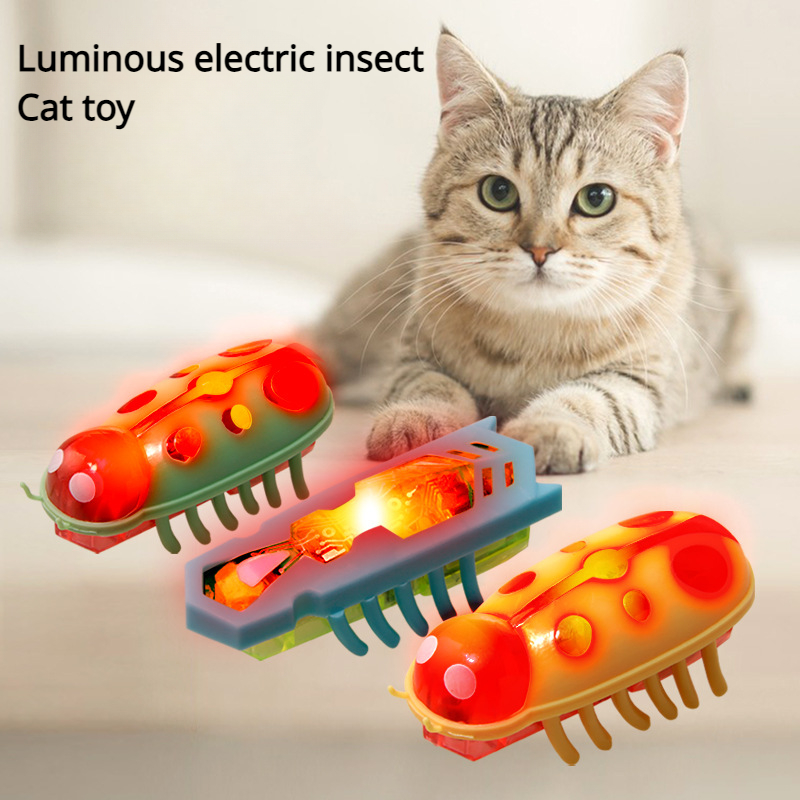 고양이 장난감 발광 전기 벌레 애완 동물 상호 작용 곤 - Power Tools Cat 리뷰 및 가격