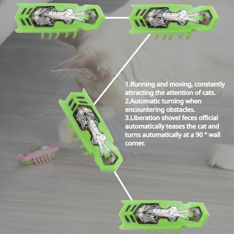 고양이 장난감 발광 전기 벌레 애완 동물 상호 작용 곤 - Power Tools Cat 리뷰 및 가격